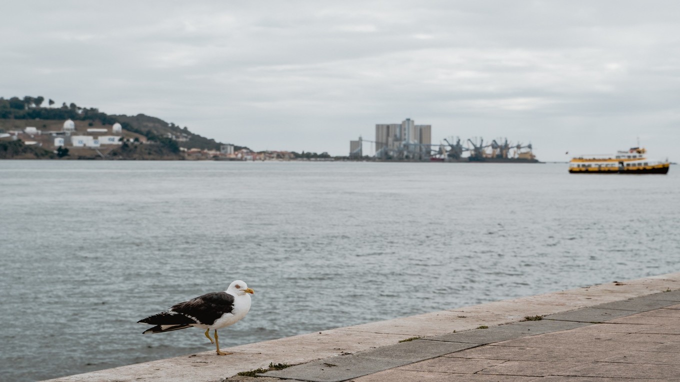 �����߼����Ӣ�۹���