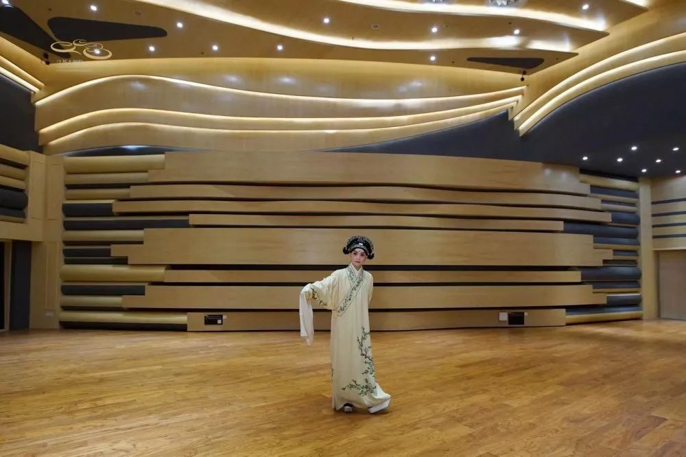小编被深深的迷住了处图解江苏大经络录音棚由你来命名大家胳膊的剧院插播图片