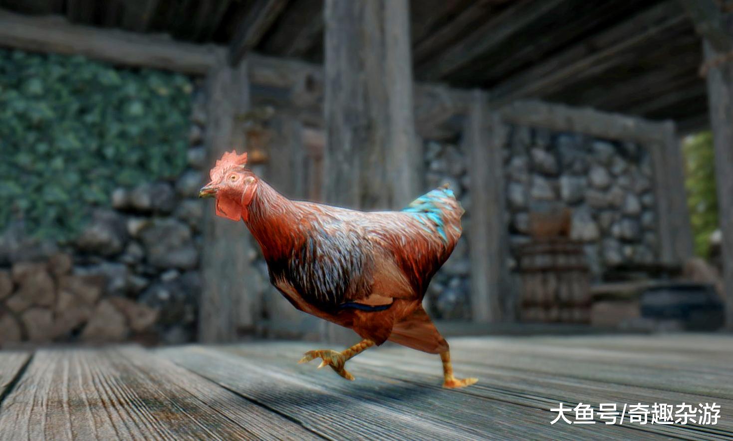 小鸡厂摄影图片-小鸡厂摄影作品-千库网