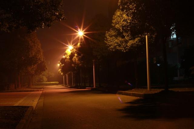 原创 夜晚道路两旁路灯的光芒与读书