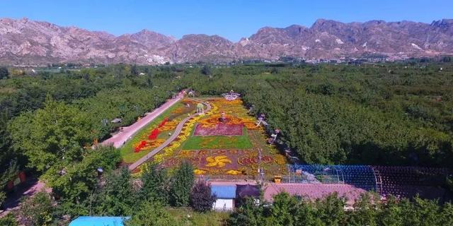 大雁滩精心布置了 七彩大地景区 ▼ 七彩 · 花海 微风拂绿叶,晴空映