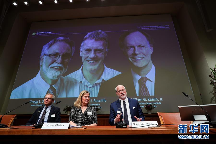 三名科学家分享2019年诺贝尔生理学或医学奖
