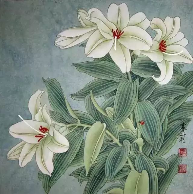 一组清新脱俗的百合花工笔画欣赏