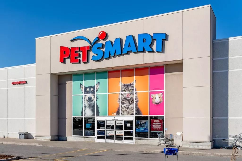  Discovering Pet Smart in Tupelo, MS: Your Ultimate Guide to Pet Care