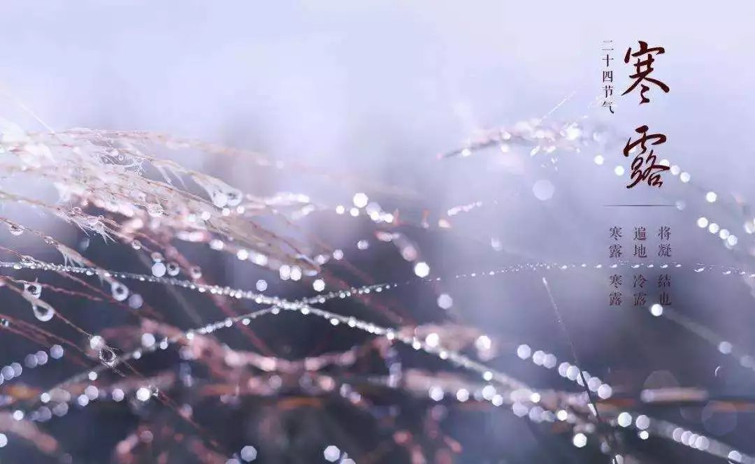 今年什么时候霜降和白露 27ff06e1afe946e99a3b456ec40217bc.jpeg