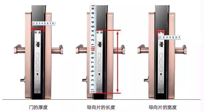 4,什么是导向片?