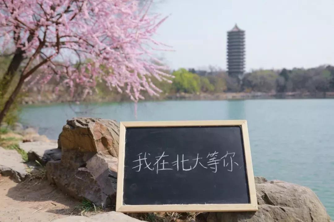 硕士|北京大学2020年艺术硕士MFA电影方向考研经验贴分享