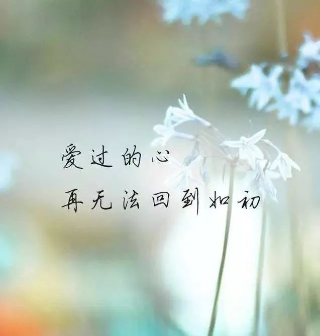 有一种爱,叫有缘无分,却弃而不舍