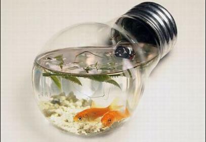 家里摆放鱼缸风水位置_风水鱼缸摆放位置_摆放鱼缸的风水学
