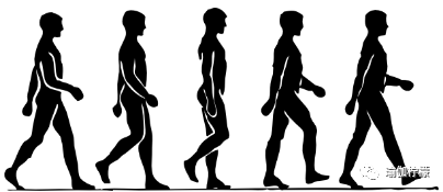 3ba2c999f43943e6b005c6591d743133.png