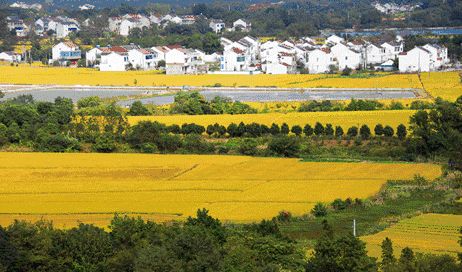 辽宁抚顺下夹河胭脂房村人口_辽宁抚顺地图