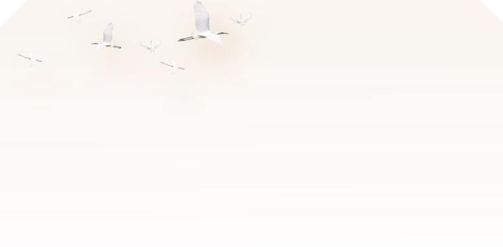 447018829f1847f39b3780b1708079ca.png