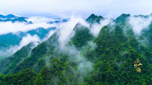 金屏人口_被全国压岁钱地图刷屏 金山人的吐槽实在太扎心