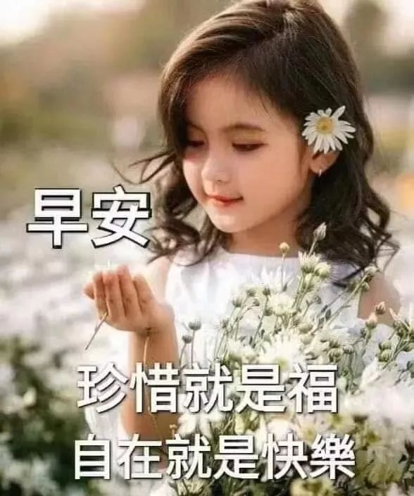 周二最新漂亮早上好动态美图鲜花带字,早晨好幸福暖心