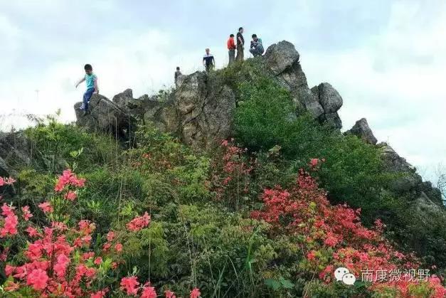 龙回镇有多少人口_北流隆盛镇有多少人口