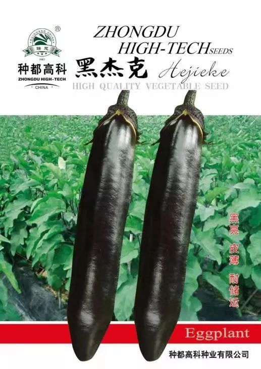 笋是什么科 62c2cc1fdbc541538014b2aef4501f20.jpeg