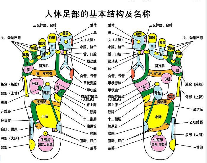 糖尿病足是怎样形成的?