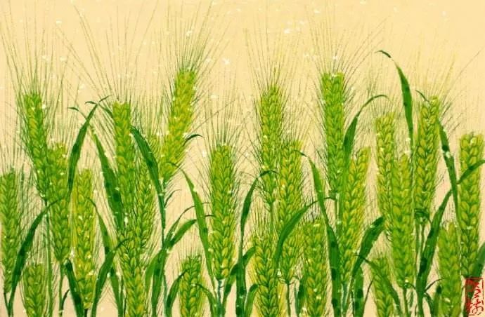 喜悦的小麦子 77560430298a464e89e65215dc15004b.jpeg