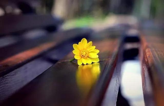 人怎么才能成长得更快 8159d11ed6f44202b4016a3baa51da1a.jpeg