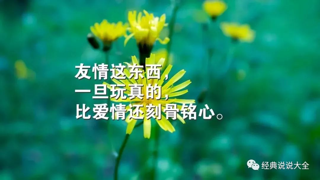 8491acbbc9814bd8b01ba39bebc67952.jpeg