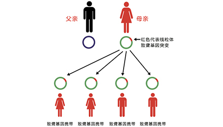 什么针耳成语_成语故事图片(3)