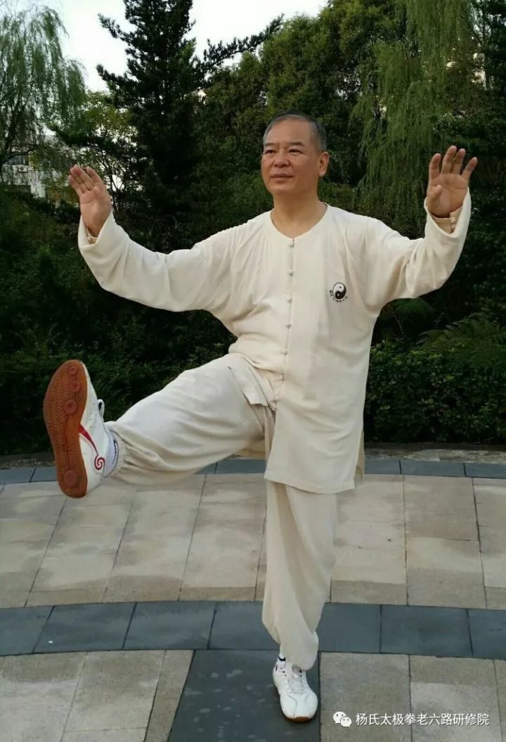 刘应文老师—杨氏太极拳(老六路)拳照集!