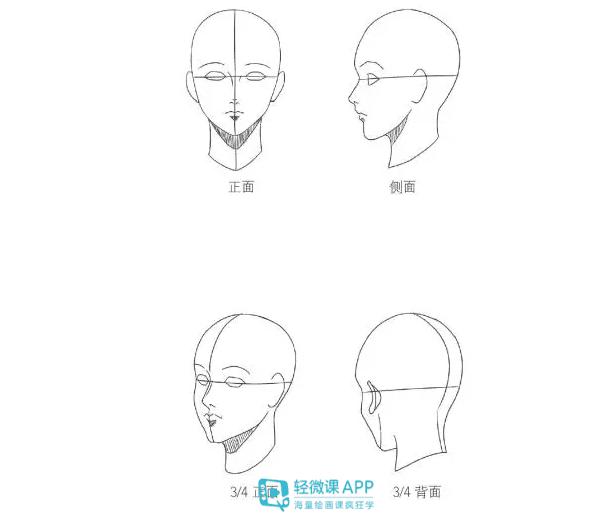 动漫人物头部教程:漫画入门技法从头开始!