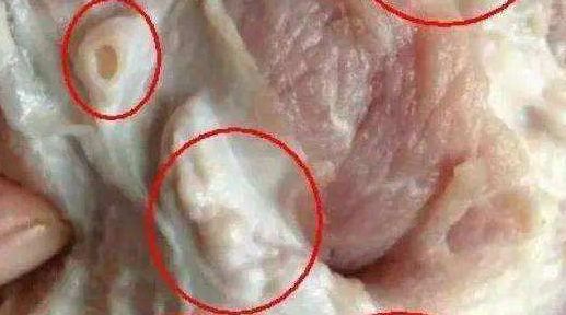 9c65ae2117de46b0ae47764fc15017ad.jpeg