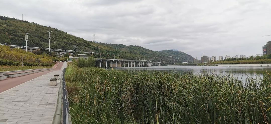 从张家界城区鹭鸶湾到小河坎的"澧水风光带"