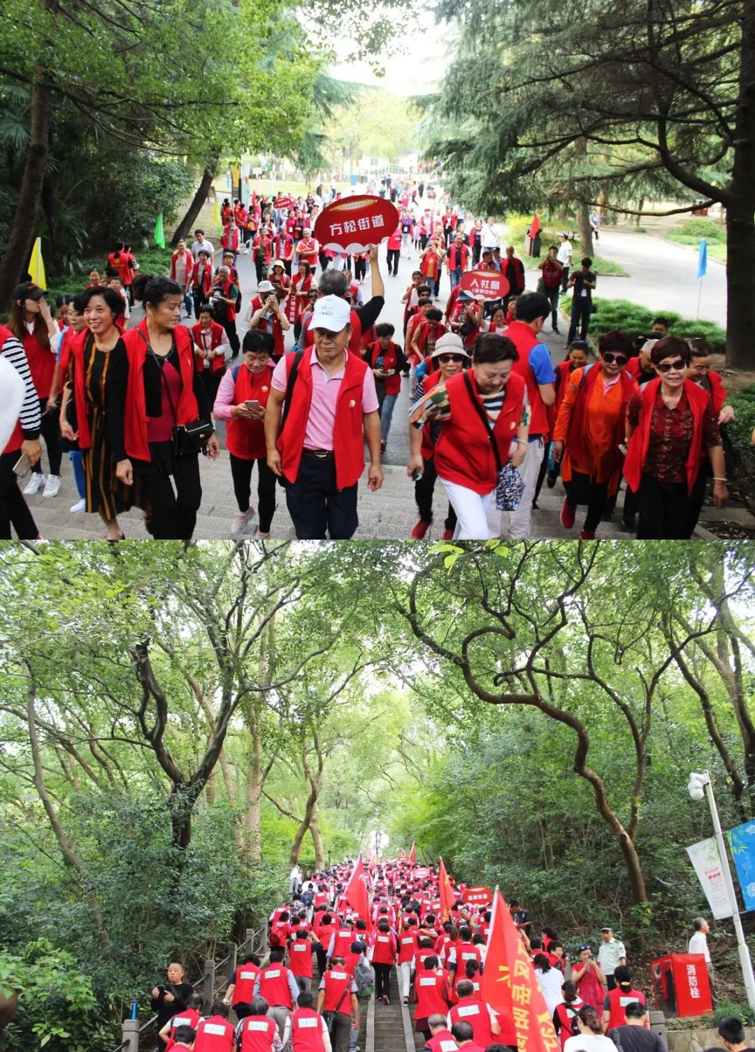 登山大部队,时而缓步徐行,时而凝眸远眺,欢笑声不绝于耳.