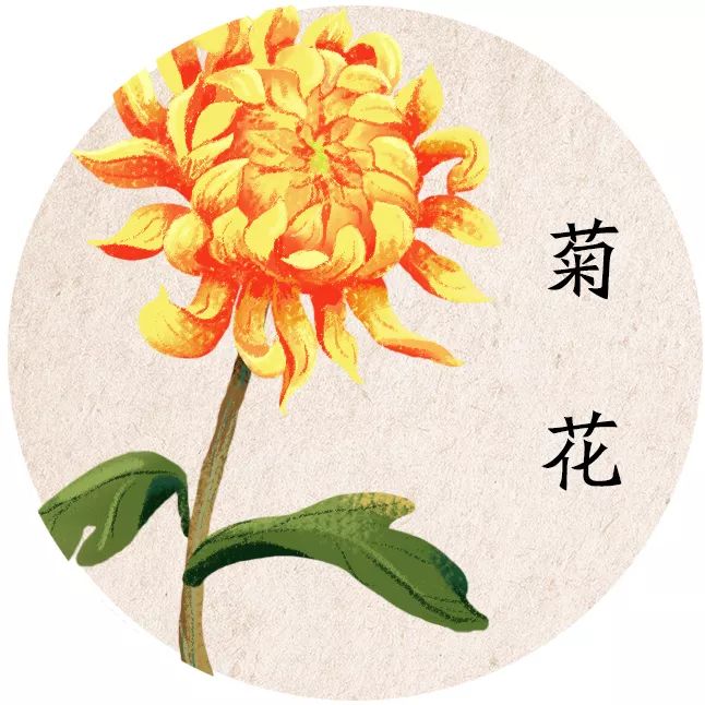 今天寒露小编给你加菜啦菊花鲈鱼羹拔丝桂花山药