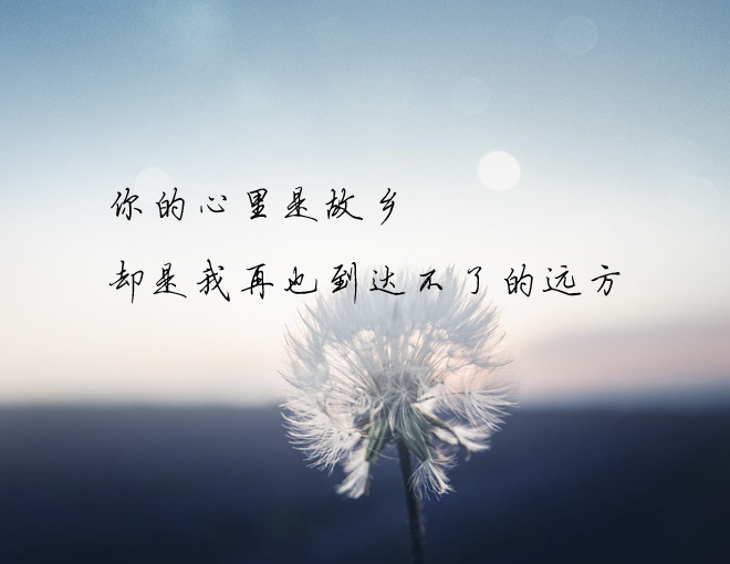 原创有一种沉默,叫做心寒了