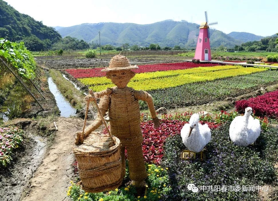 阳春这条村比市区还要靓风车花田稻草人七彩村道等等