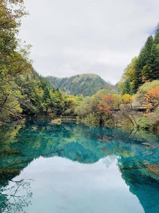 2019年国庆旅游经济总量_2015中国年经济总量