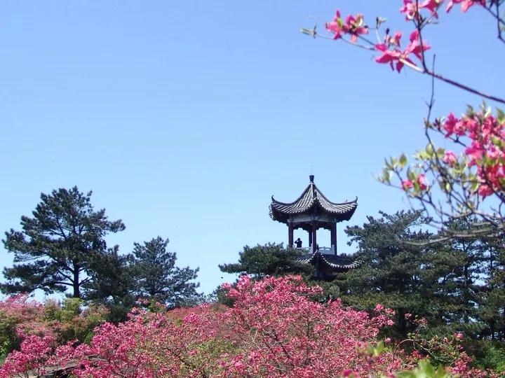 湖北最全的热门 小众景点攻略,这里有很多你不知道的美景