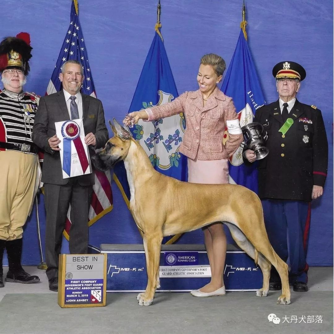 美国名犬排行榜_史努比当选美国流行文化“第一名犬”(图)(2)