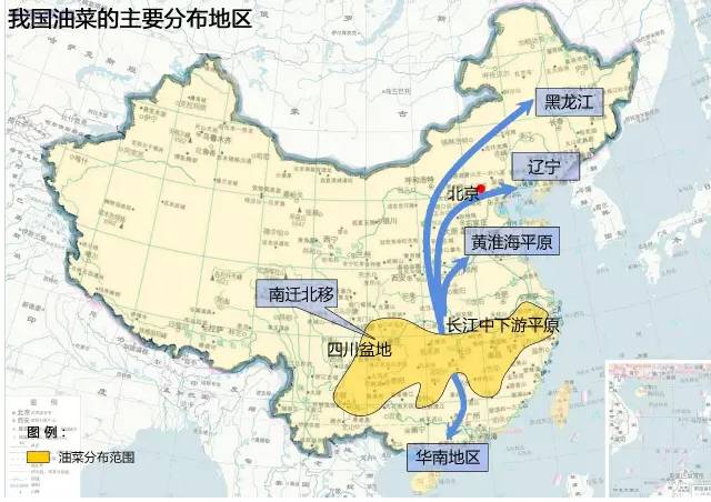 青西新区人口分布_青西新区弘文学校