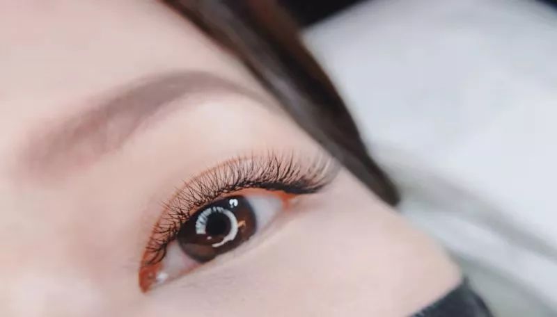 成语目什么交睫_倒睫是什么样子图片(2)