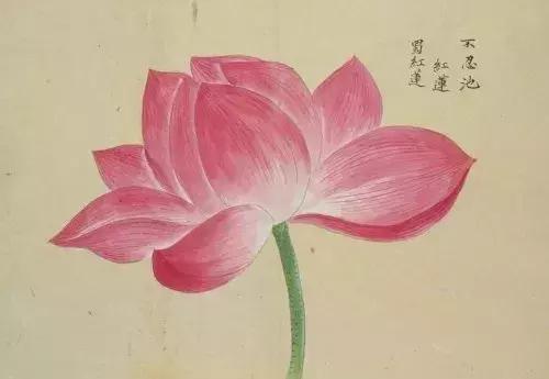 成语鼎力相助一般用于什么_成语故事简笔画(3)