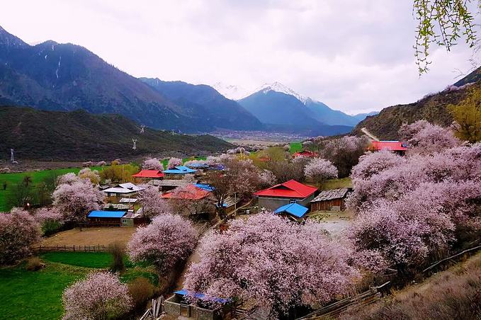 波密有什么好玩的地方_西藏林芝地区