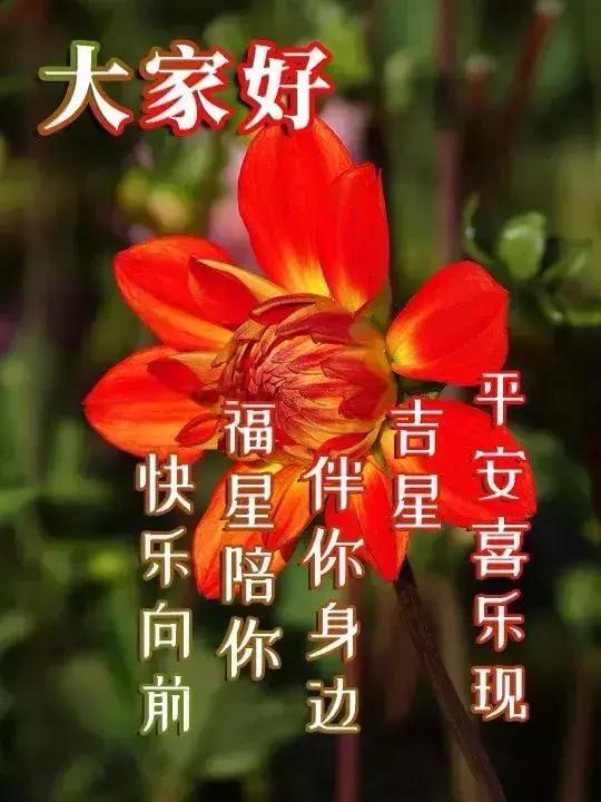 问候语简谱_早上好问候语图片(2)
