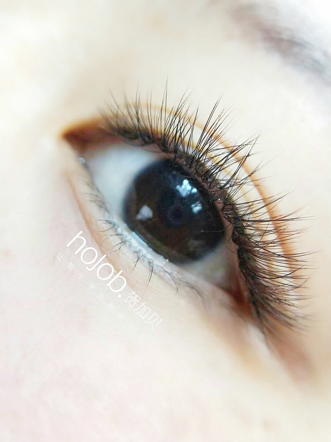 成语目什么交睫_倒睫是什么样子图片(2)