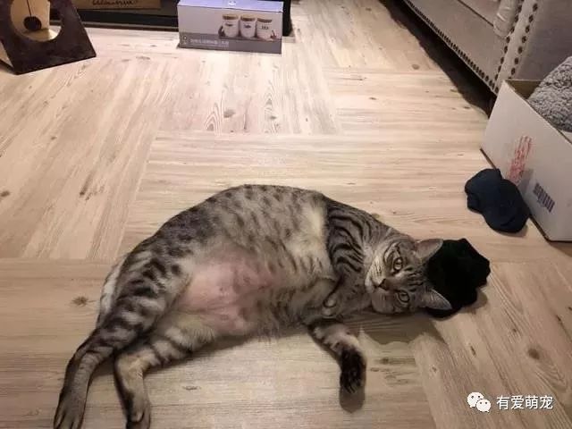 2ba0d374cd8947448b4d0f90efbcb057.jpeg