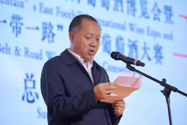 闽宁镇2019gdp_闽宁镇(3)
