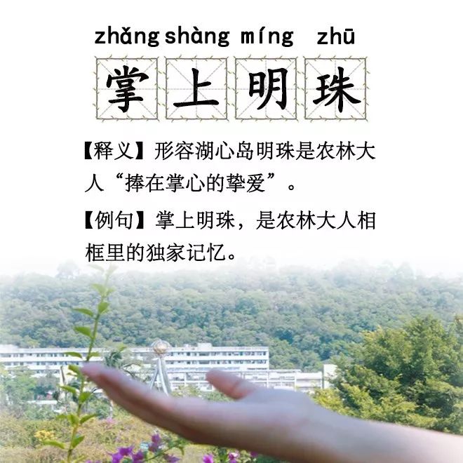不什么农什么的成语_成语故事简笔画