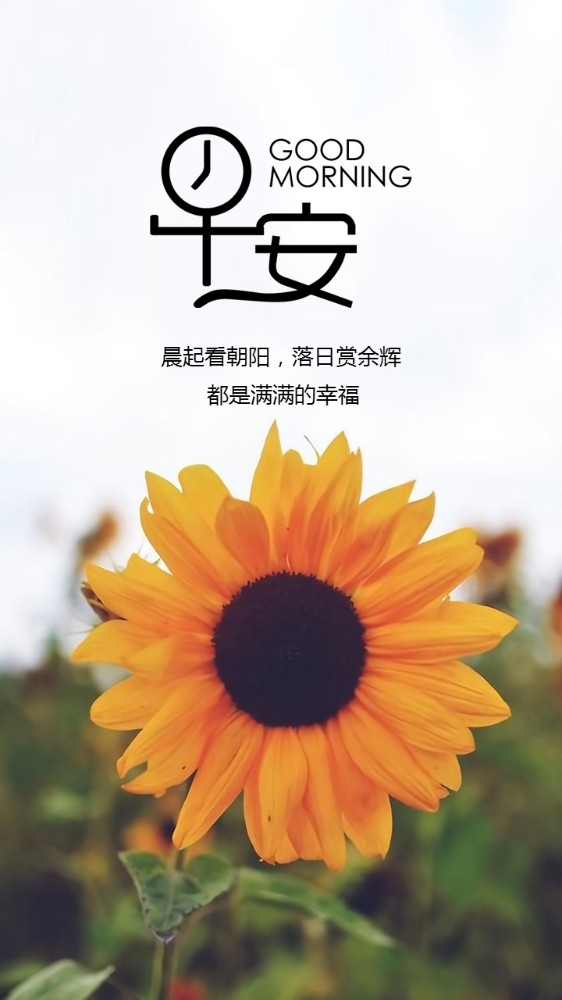 10.10日小小早安问候日签图片,带励志文字,给你清晨满满正能量,早安!