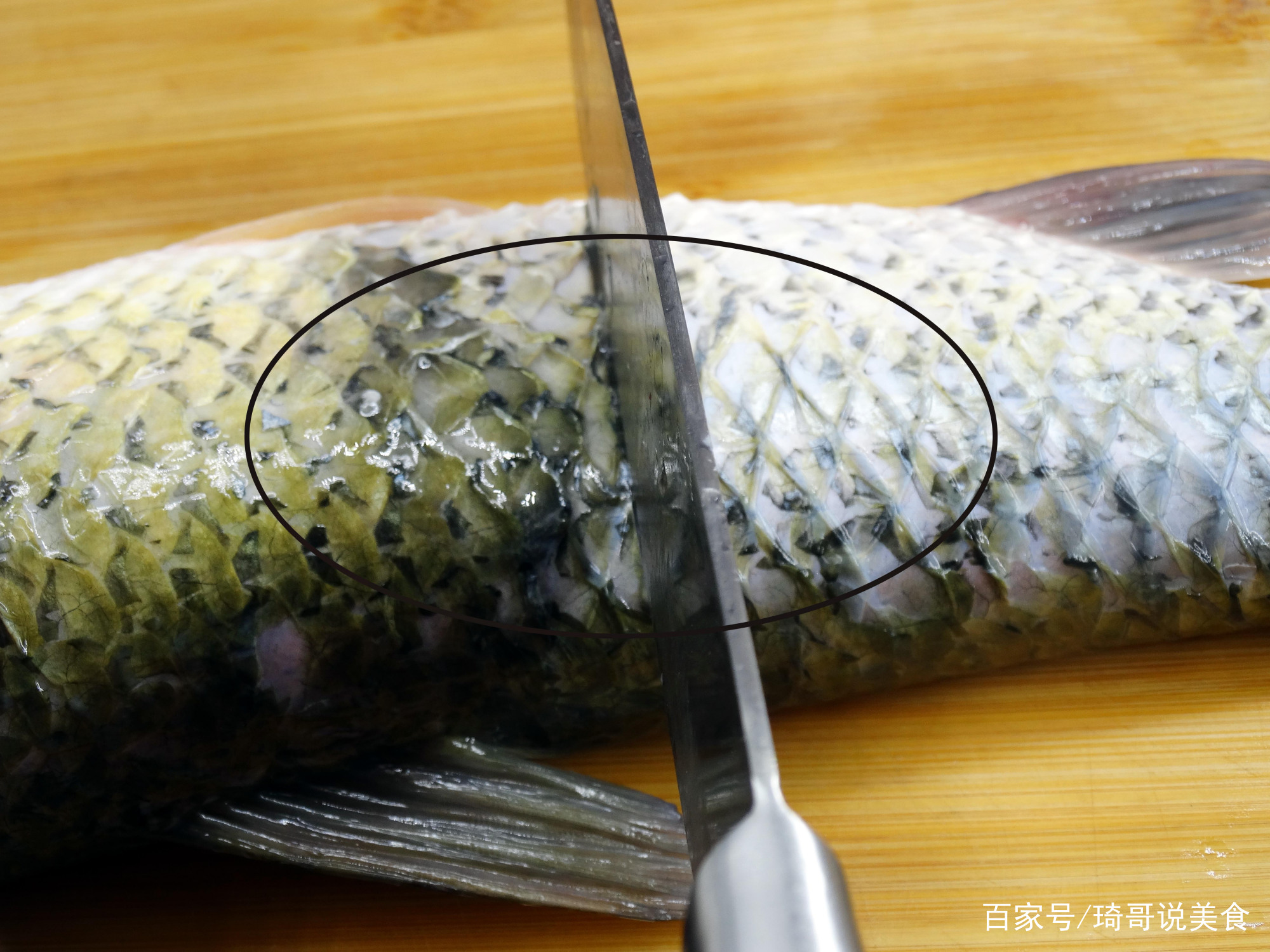 用什么方法可以去除鱼身上的粘液 4a742479f301448ba8781bc0d08b22a1.jpeg