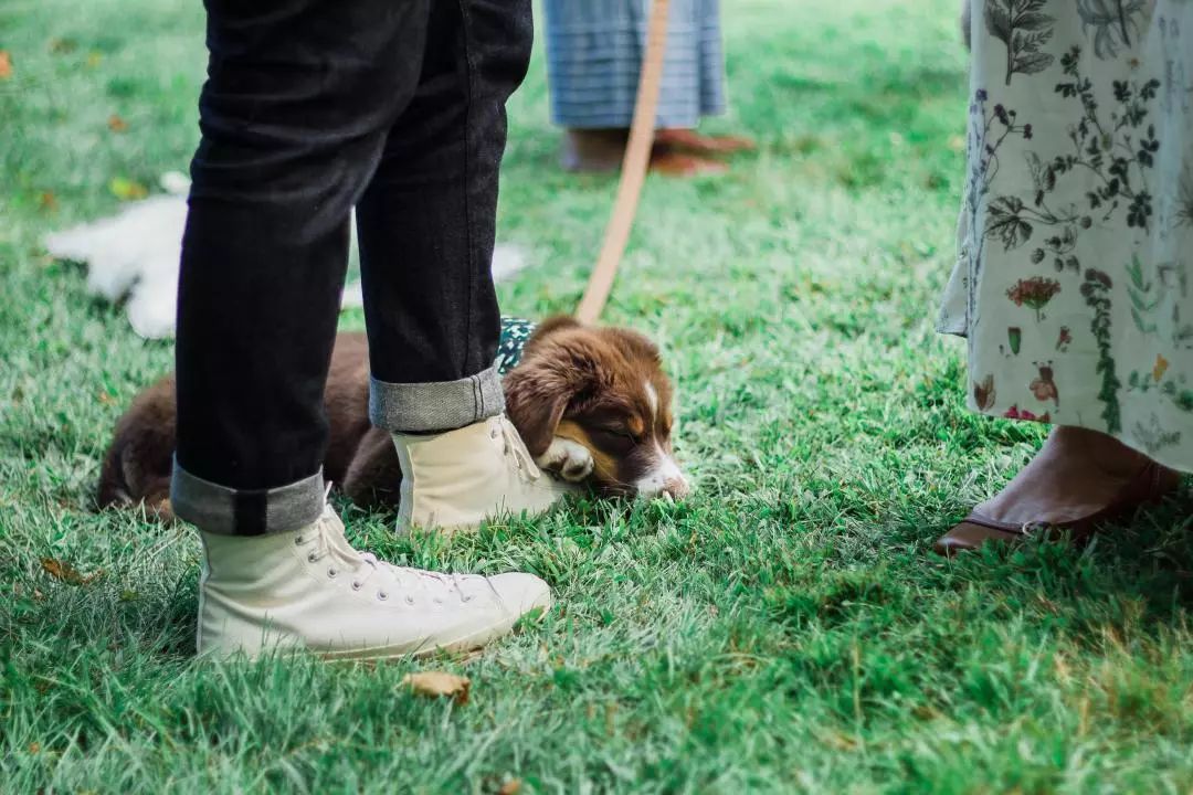 壹叁| 欢迎来到动物世界!