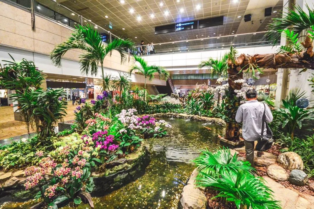 再过十几天,新加坡这个地标就要拆了 再过十几天,新加坡这个地标就要拆了
