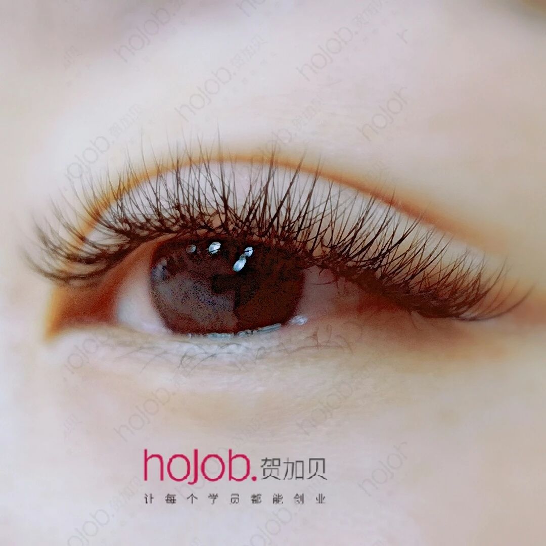 成语目什么交睫_倒睫是什么样子图片(2)